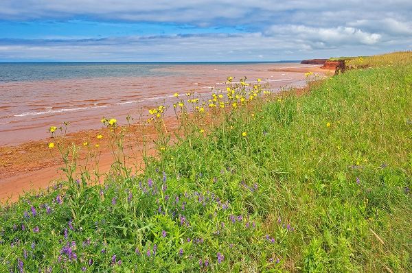 Canada-Prince Edward Island-Skinners Pond Red sandstone beach on Northumberland Strait